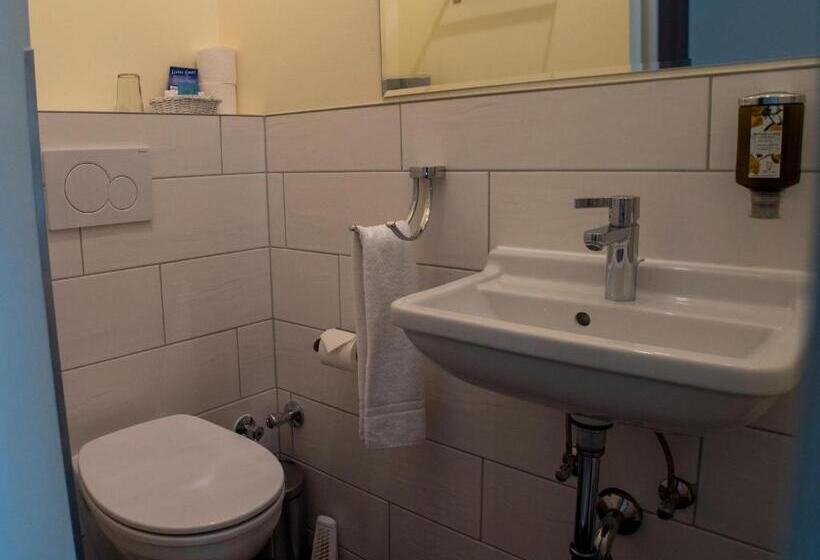 스탠다드 싱글 룸, Trierer Hof