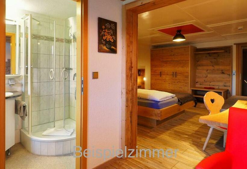 Номер Стандарт, Panorama Hotel Kaserer