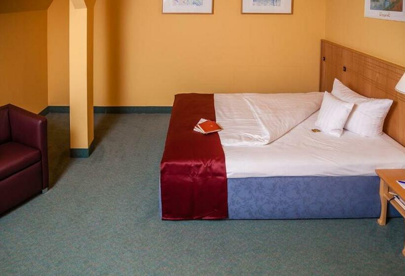 수피리어 싱글 룸, Spa Hotel Amsee