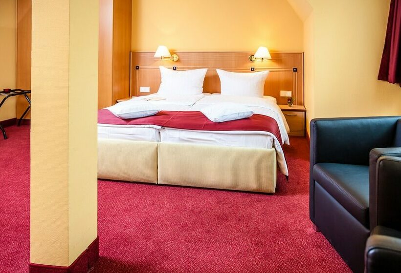 스탠다드 룸, Spa Hotel Amsee