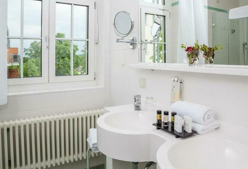 스탠다드 룸, Spa Hotel Amsee