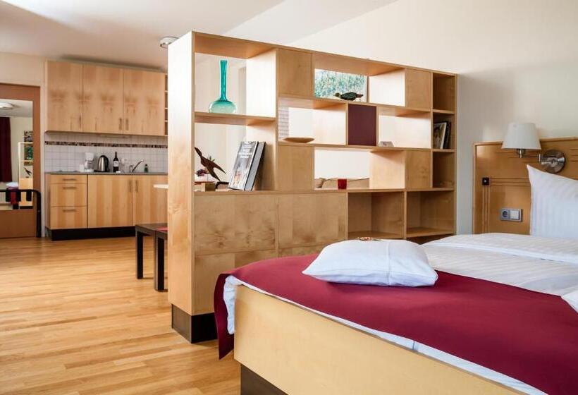 Comfort room with lake view, Spa Hotel Amsee