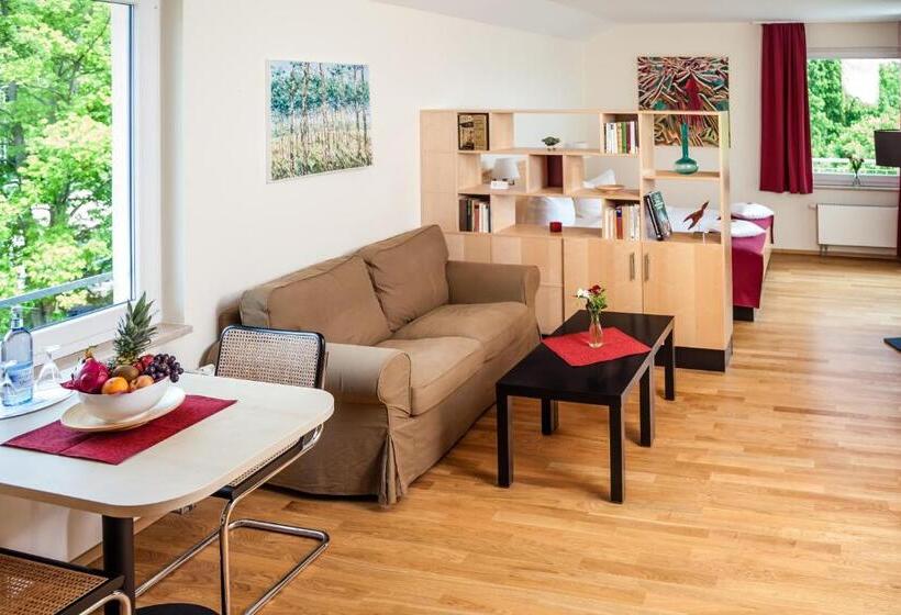 스탠다드 테라스 룸, Spa Hotel Amsee