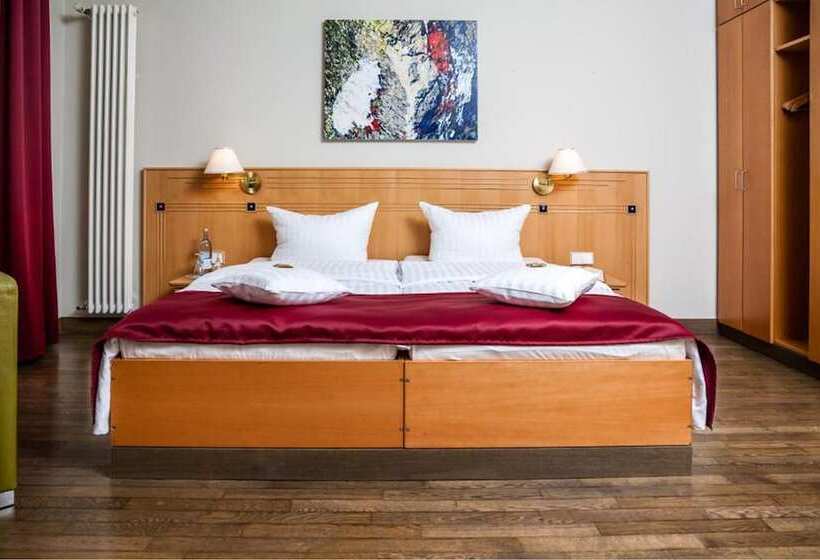 수피리어 룸, Spa Hotel Amsee