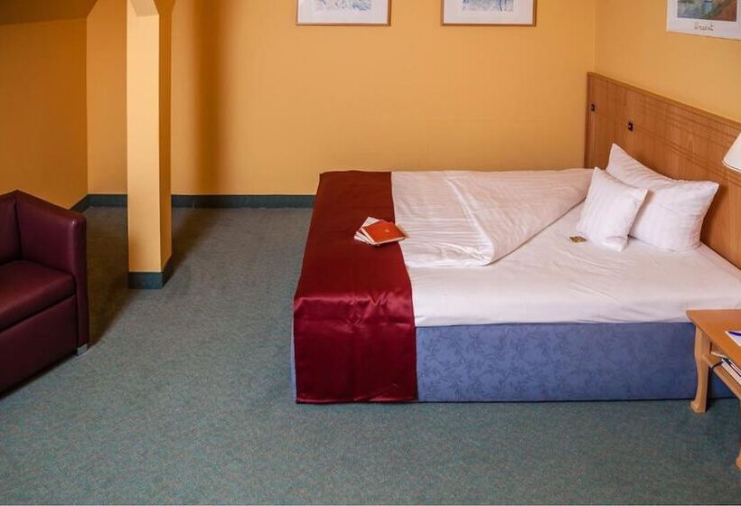 Номер Superior Одноместный, Spa Hotel Amsee