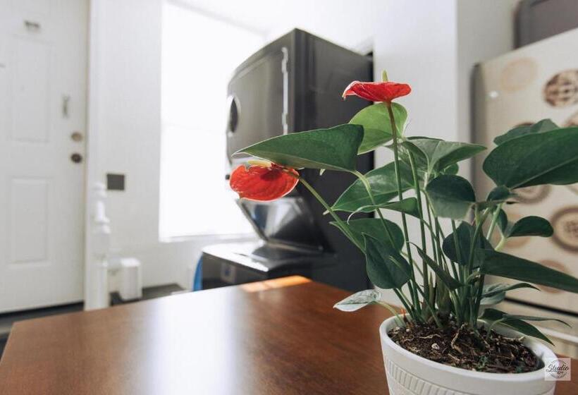 اتاق استاندارد, Stay 424 Hostel