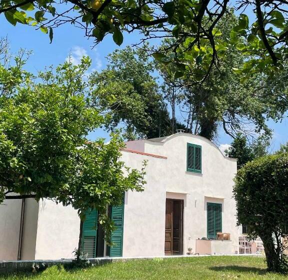 ویلای 1 خوابه, Villa Morea & Rooms In Procida