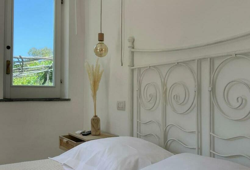 ویلای 1 خوابه, Villa Morea & Rooms In Procida