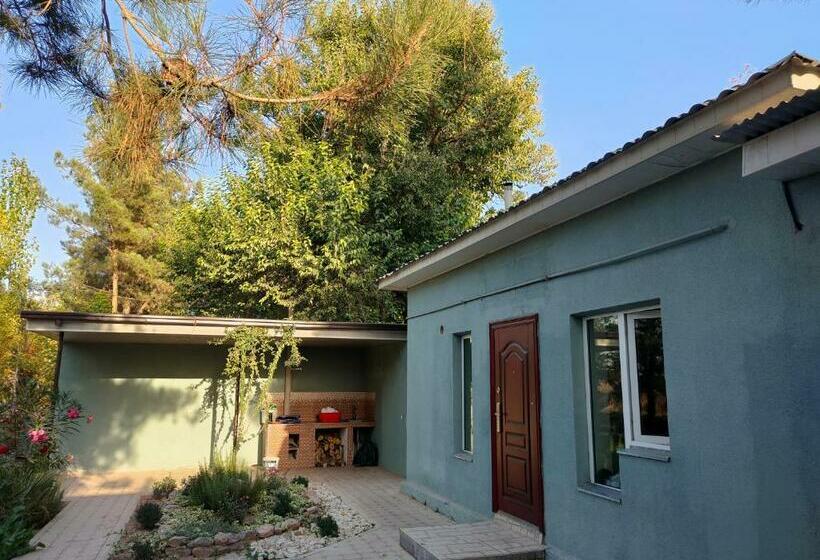 منزل غرفتين نوم, Anor Sayyoh