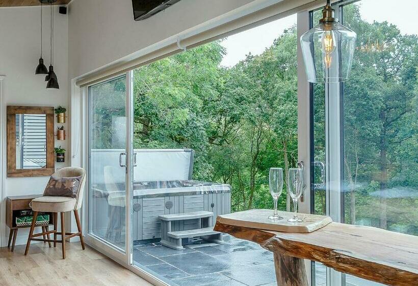 Дом 1 Спальня, Nantycoed Lodges
