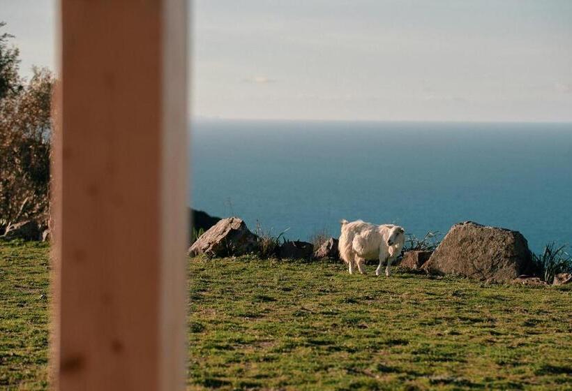 غرفة ديلوكس مطلّة علي البحر, New Suites Sea View Sardinia, Castelsardo