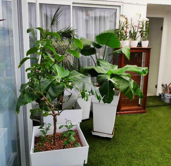 Номер Deluxe, ô 3 Parasols