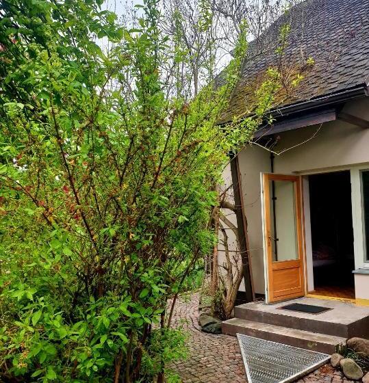 اتاق خانوادگی, Lindaga