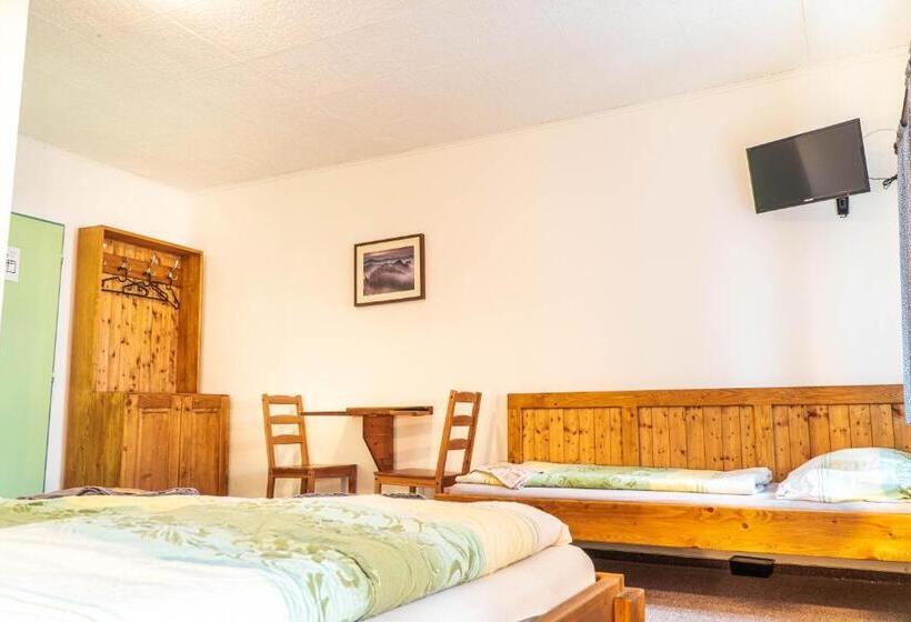 חדר בסיסי לשלושה, Penzion Jedlová