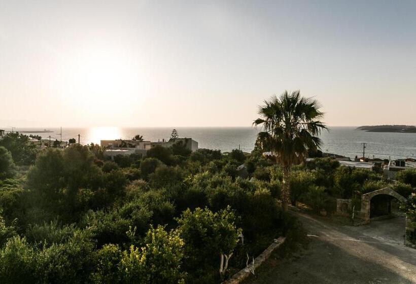 Номер Премиум, Creta Vitalis