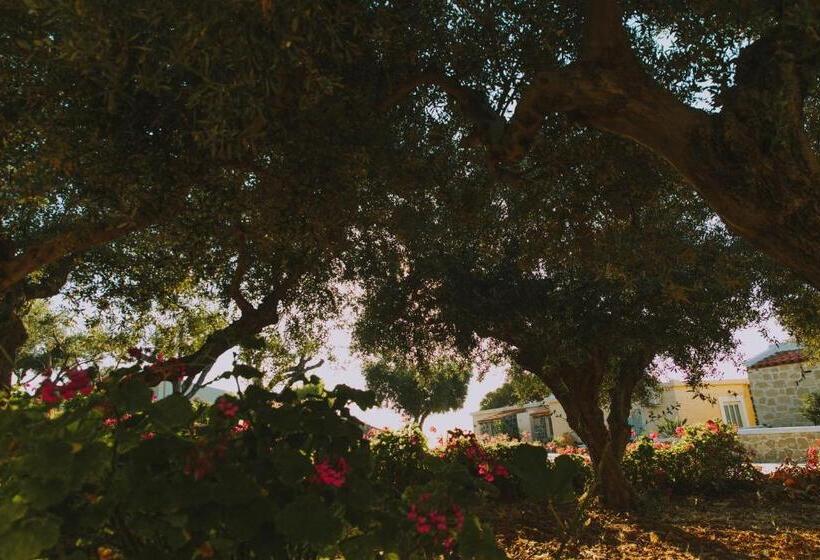 סוויטת ג'וניור נוף לים, Creta Vitalis