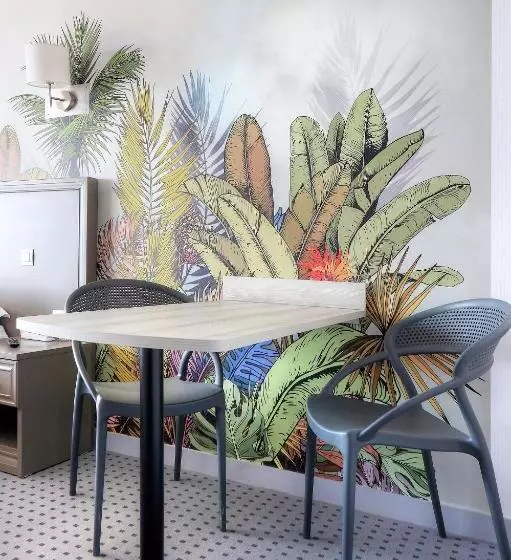 استودیوی استاندارد با چشم‌انداز دریا, Hôtel La Petite Sirène Quiberon