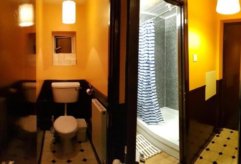 اتاق استاندارد با سرویس بهداشتی مشترک, London Visitors