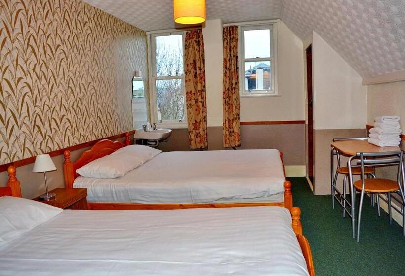 اتاق استاندارد با سرویس بهداشتی مشترک, London Visitors