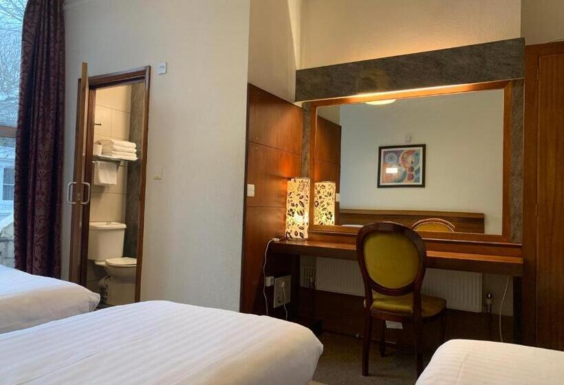 اتاق خانوادگی, London Visitors