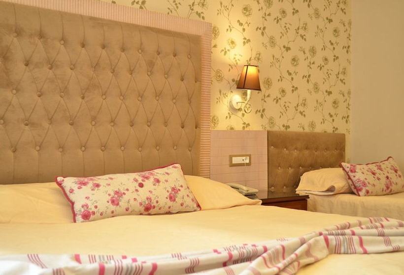 Quarto Triplo Estandar, Olympic