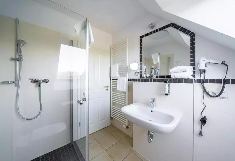 Standard-studio, Strandhafer Apart