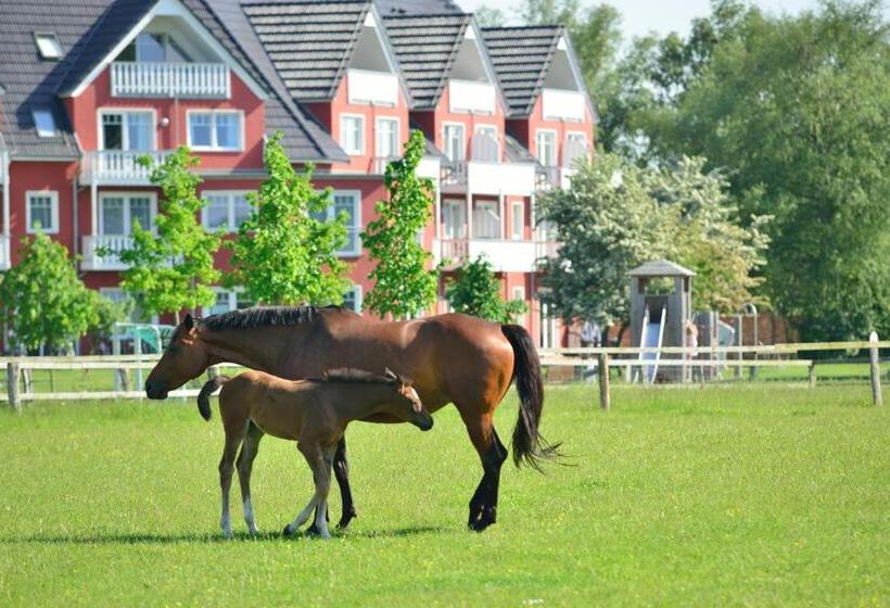 Студия Стандарт, Strandhafer Apart