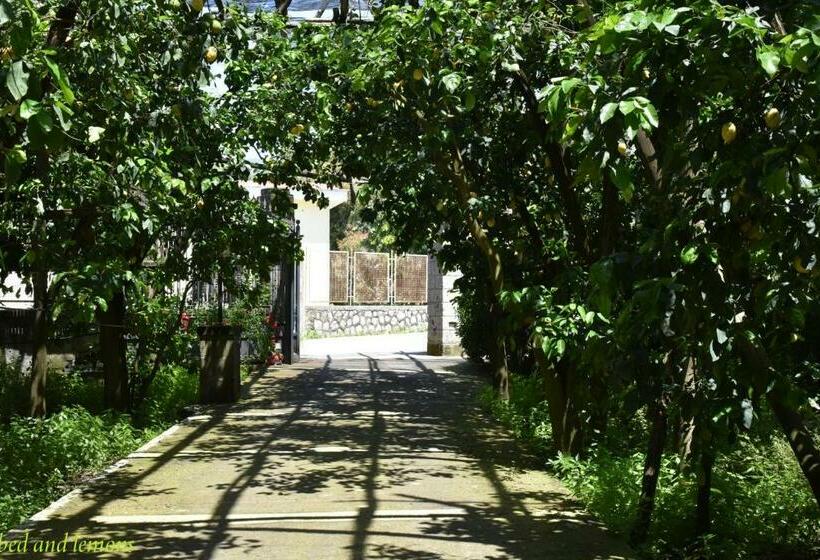 חדר סטנדרט עם מיטת קינג, Bed And Lemons