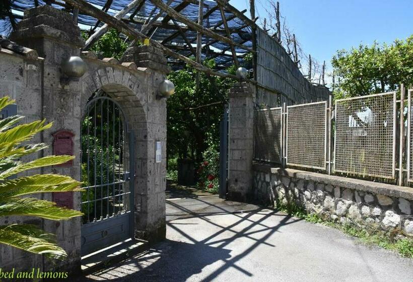 스탠다드 룸 킹사이즈 침대, Bed And Lemons