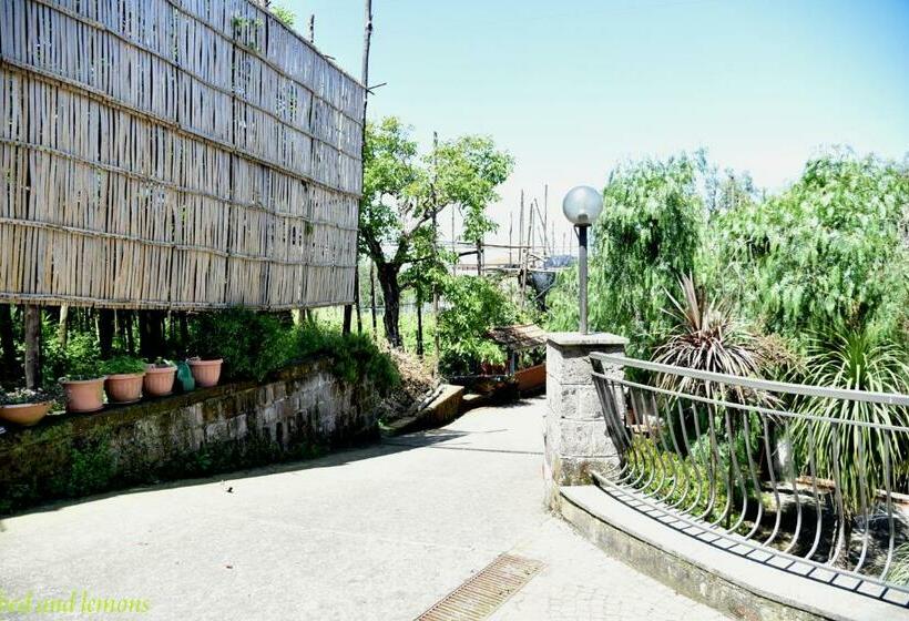 חדר סטנדרט עם מיטת קינג, Bed And Lemons