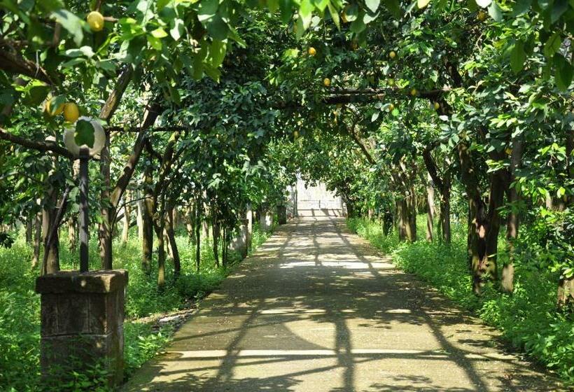 חדר סטנדרט עם מיטת קינג, Bed And Lemons