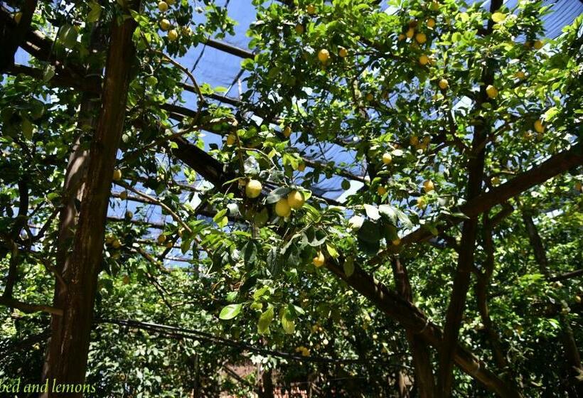 חדר סטנדרט עם מיטת קינג, Bed And Lemons