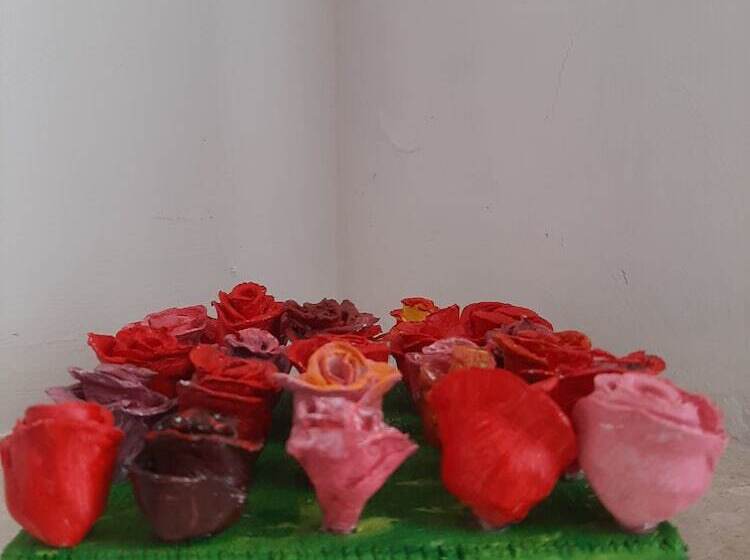 舒适三人间, Cuscino E Cappuccino B&b