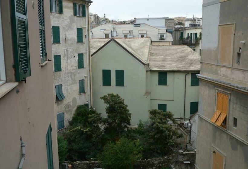 Economy Szoba, Olympia