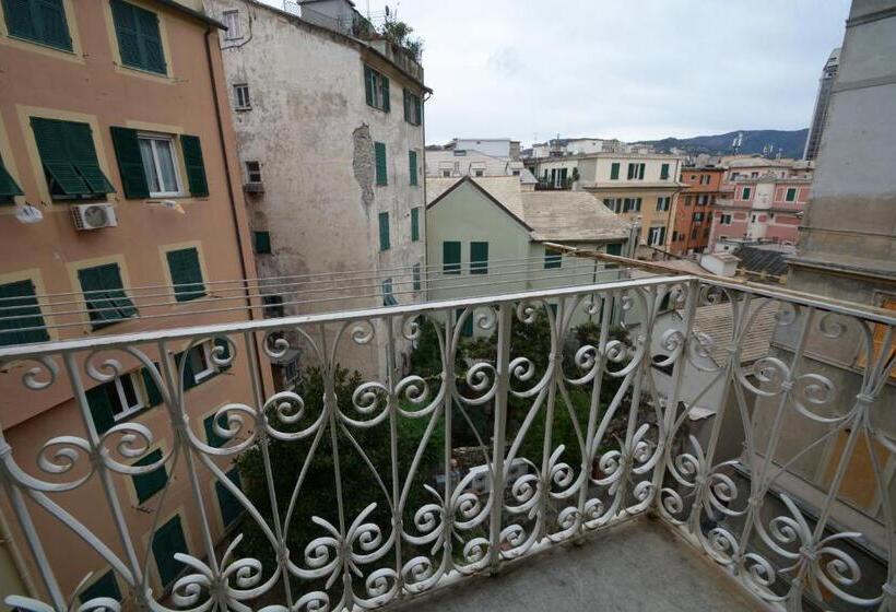 Economy Szoba, Olympia