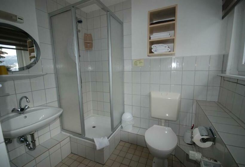 חדר סטנדרט, Pension Haus Am Hirschsprung