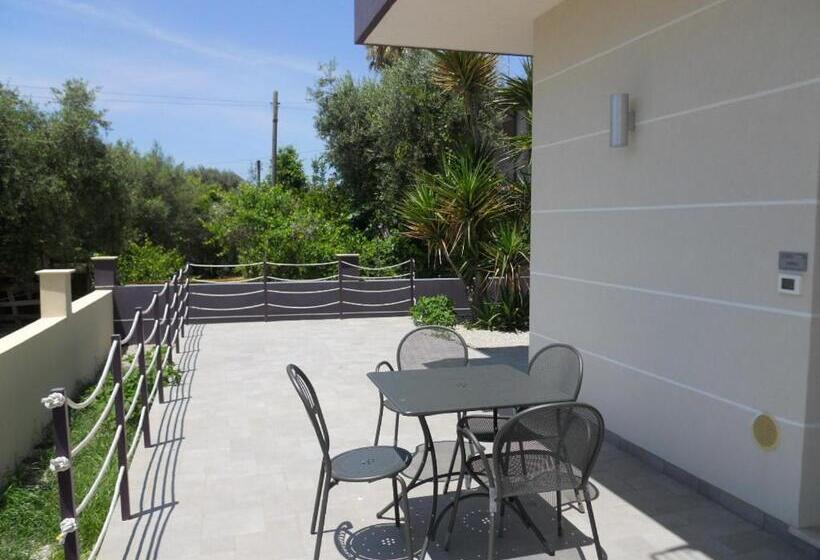 استودیوی استاندارد, Selenite