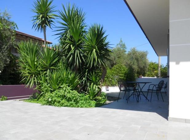 استودیوی استاندارد, Selenite