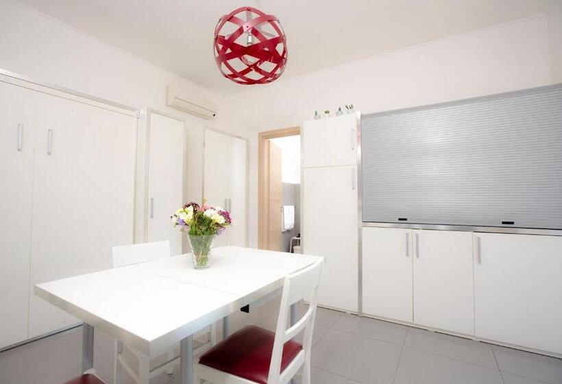 استودیوی استاندارد, Selenite