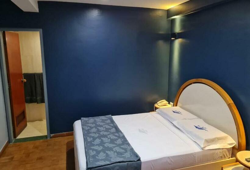 اتاق سوپریور, El Arroyo