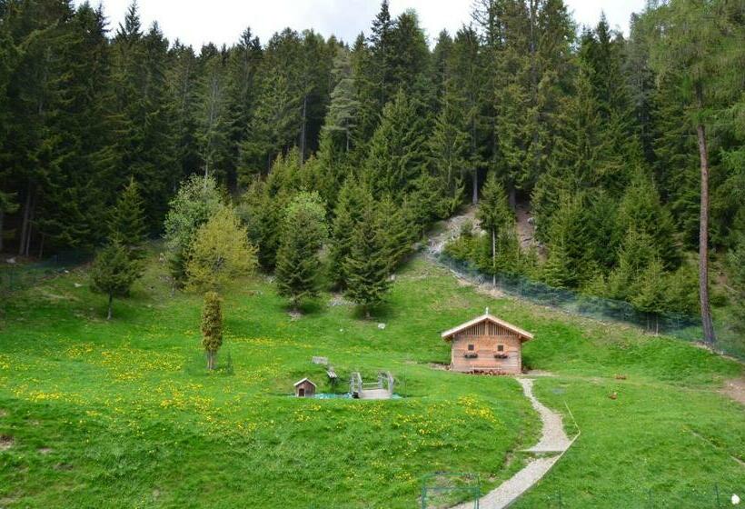 Номер Стандарт Индивидуальный с Балконом, Granpanorama Wellnesshotel Sambergerhof Superior
