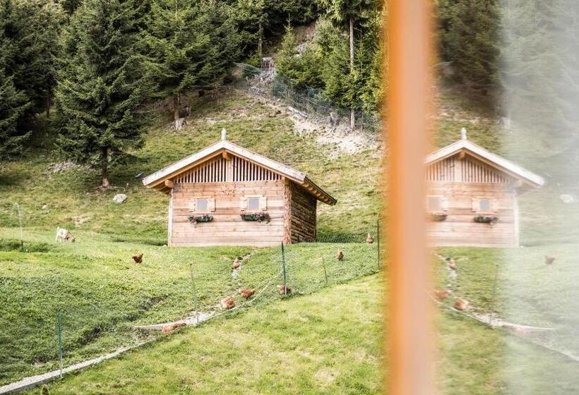 스탠다드 룸, Granpanorama Wellnesshotel Sambergerhof Superior