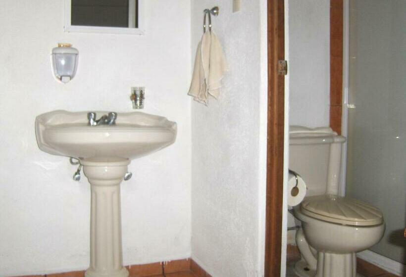 غرفة قياسية, Albatros