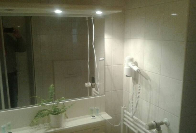 スタンダードルーム, De Twentse Nar