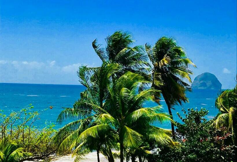 Superior Studio mit Meerblick, Diamant Les Bains   Résidence Hôtelière