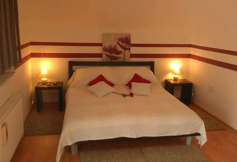 חדר קומפורט לשלושה, House Delic