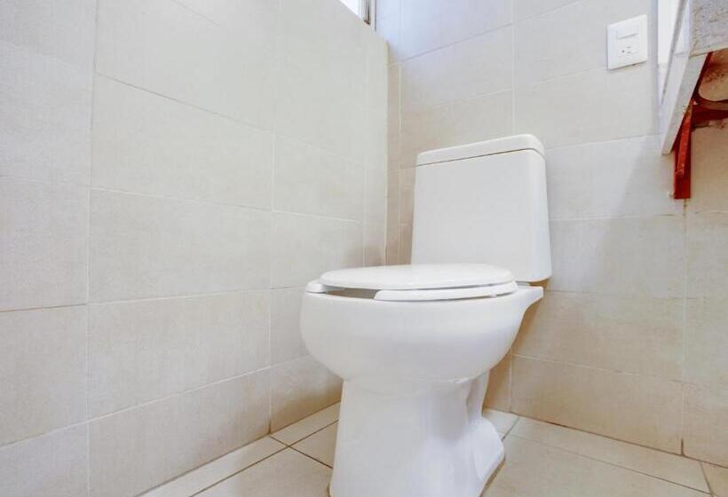 اتاق استاندارد چهار تخته, Patzcuaro