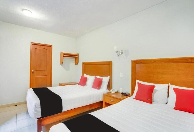 اتاق استاندارد چهار تخته, Patzcuaro