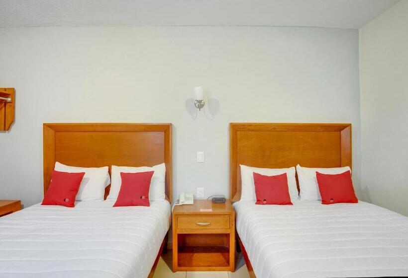 اتاق استاندارد چهار تخته, Patzcuaro