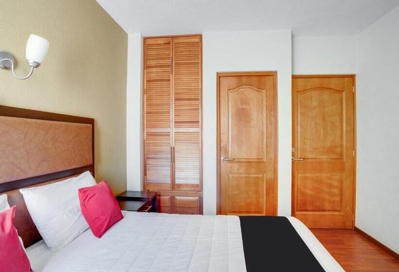 سوییت جونیور, Patzcuaro